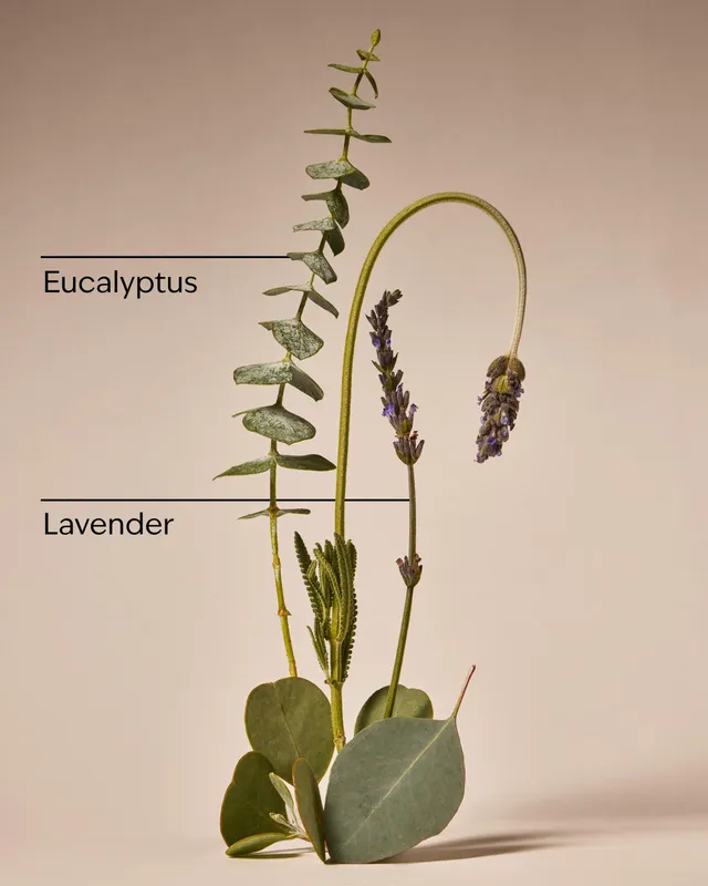 Eucalyptus Lavender Hand Cream – image 4