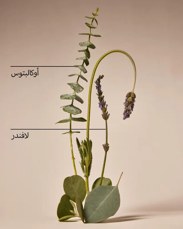 Eucalyptus Lavender Hand Cream – image 5