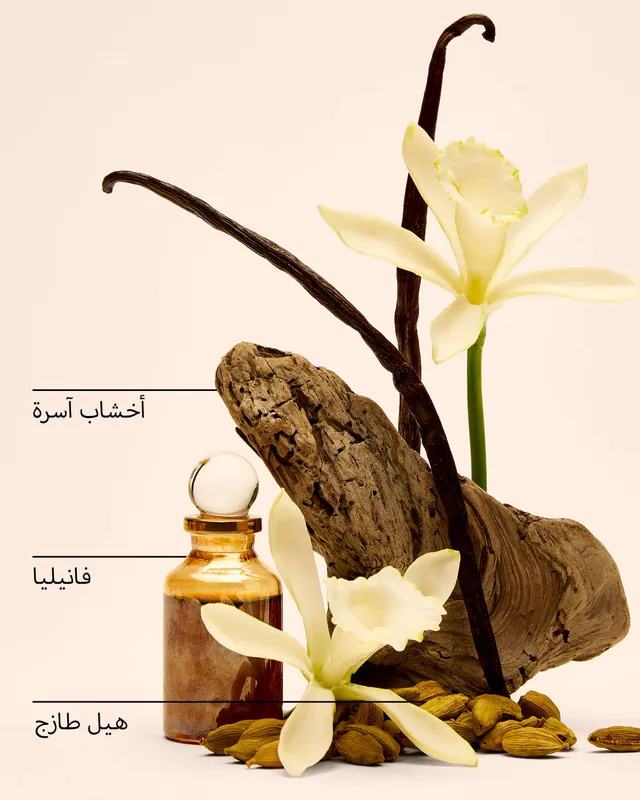 كريم يدين فانيلا رومانس – صورة 5