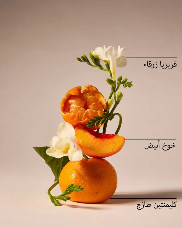 عبوة تعبئة جهاز التعطير الكهربائي غينغهام – صورة 5