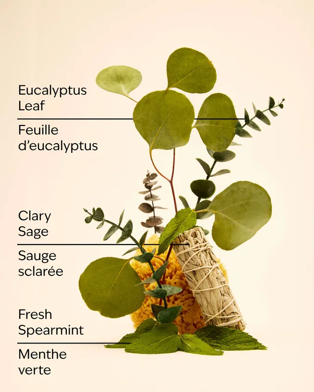 Eucalyptus Spearmint Hand Sanitizer Spray – image 3