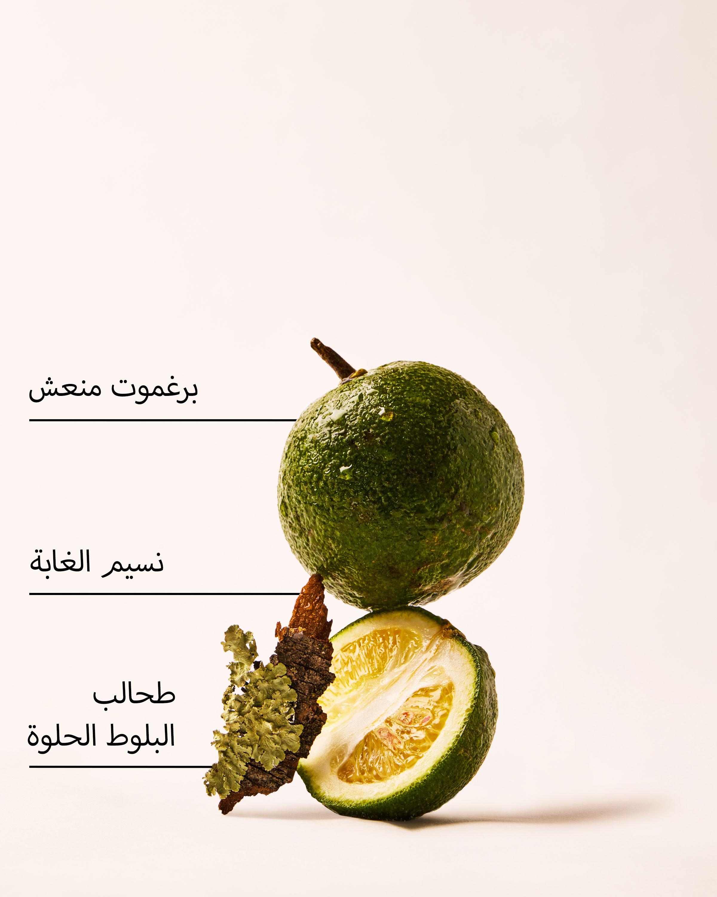 عبوة تعبئة جهاز التعطير الكهربائي أ كوايت إسكيب