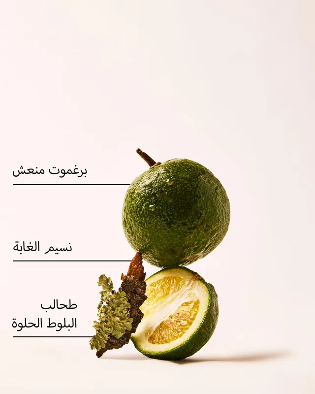 عبوة تعبئة جهاز التعطير الكهربائي أ كوايت إسكيب – صورة 3