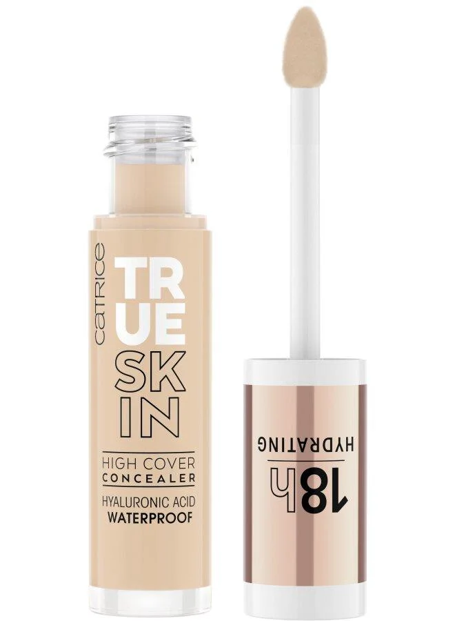 Catrice True Skin High Cover Concealer 015