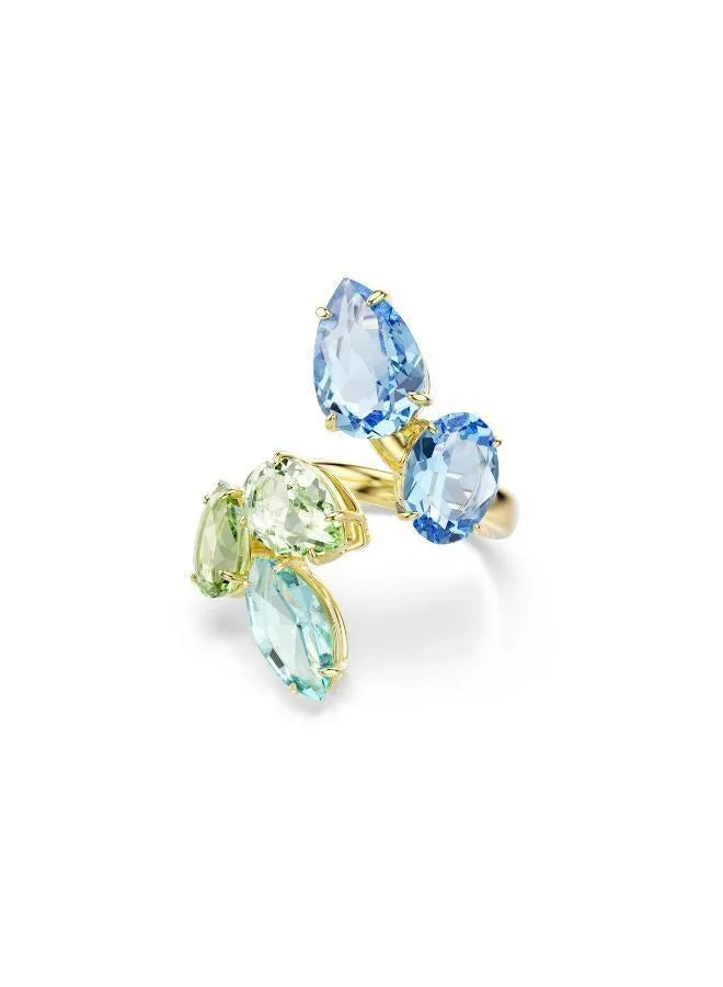 Novelty Ring