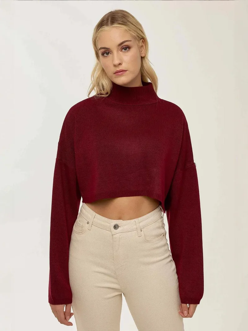 Turtleneck Crop Sweater