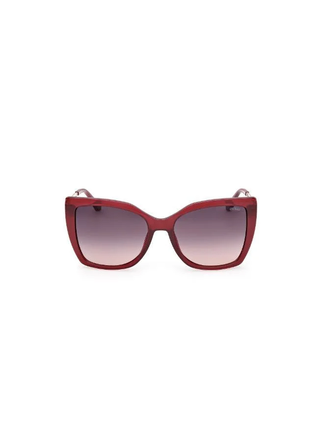 Square Sunglasses