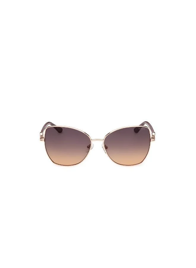 Oval Sunglasses