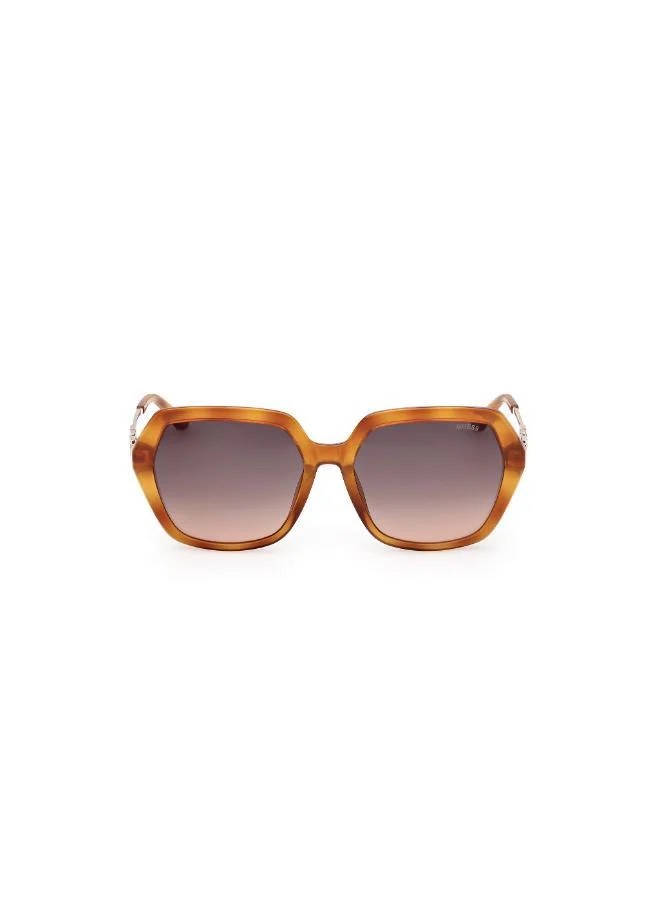 Oversized Sunglasses