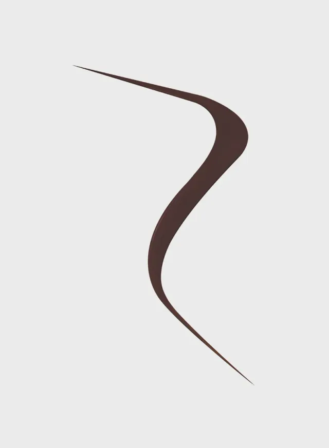 Liquid Eyeliner - Matte Wood - Waterproof Formula – image 2