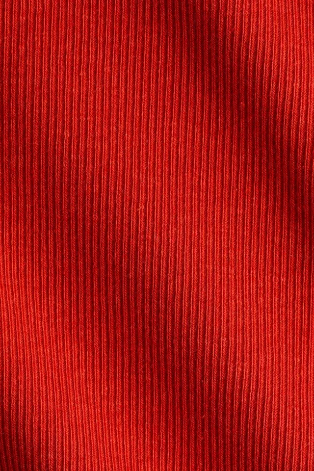 Red Bright Ribbed Jersey Top for Women - Long Sleeve, Fitted Fit – image 2