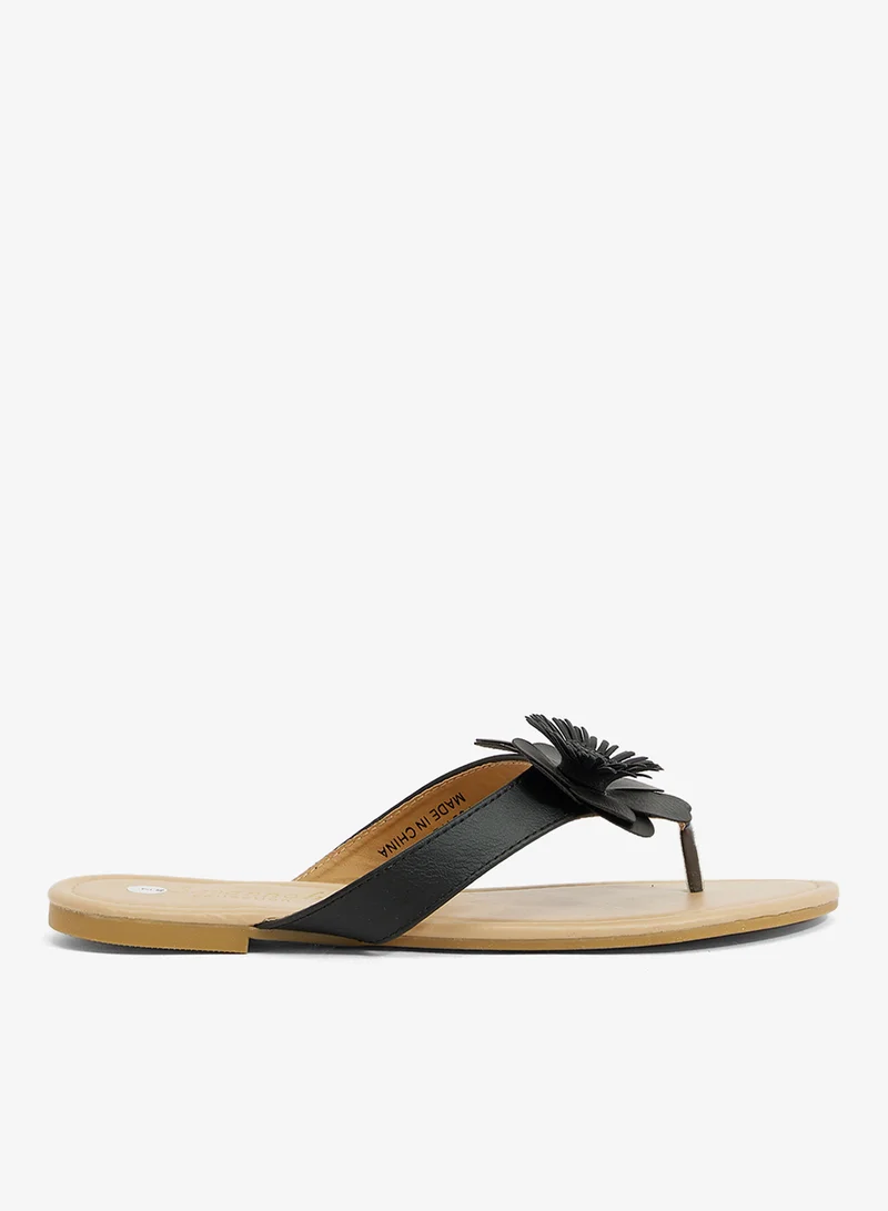 Flat Thong Sandal