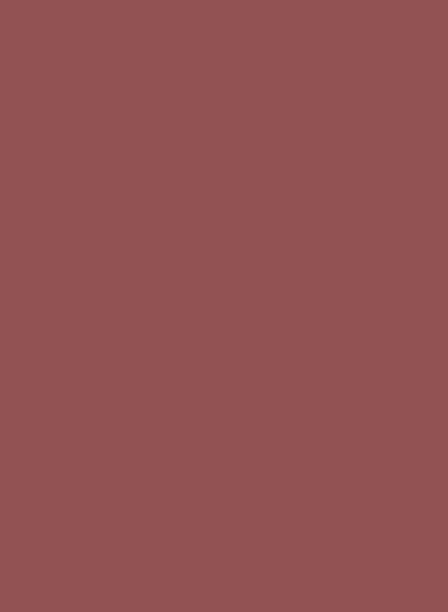 NINA Flower Power Matte Lipstick – image 4