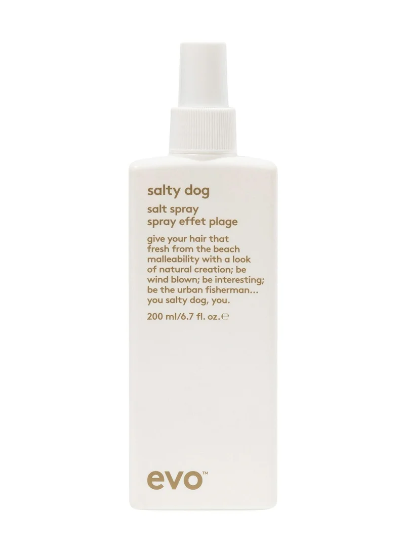 Evo Salty Dog Salt Spray