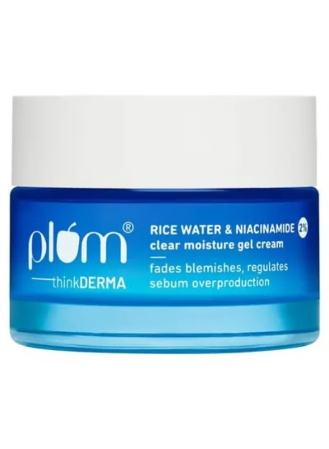2% Niacinamide Rice Water Super Light Gel Cream Face Moisturizer