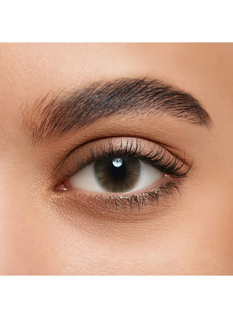 Layala 2024 Lenses Terra Brown