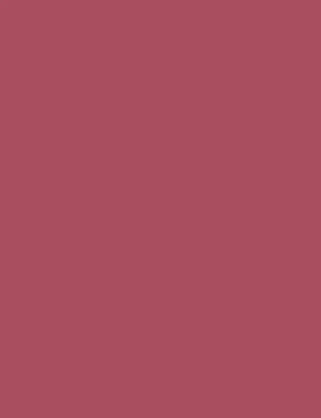 ملمع شفاه K-Spirit Blur Berry Cloud – صورة 3