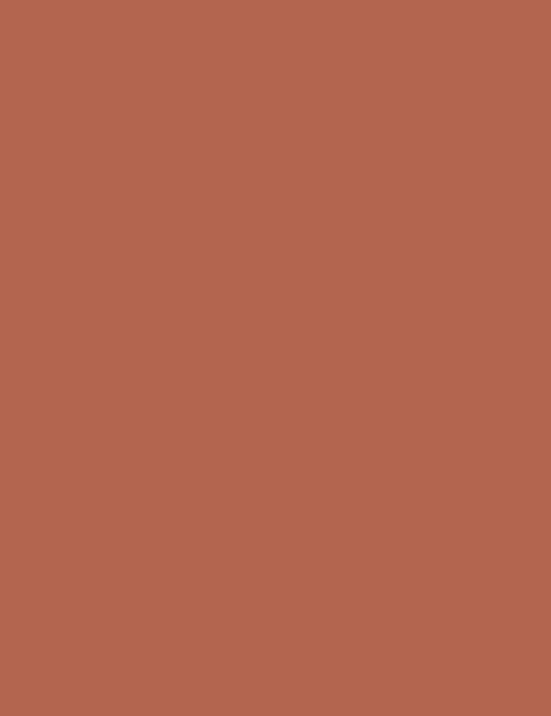 ملمع شفاه K-Spirit Blur Rose Latte