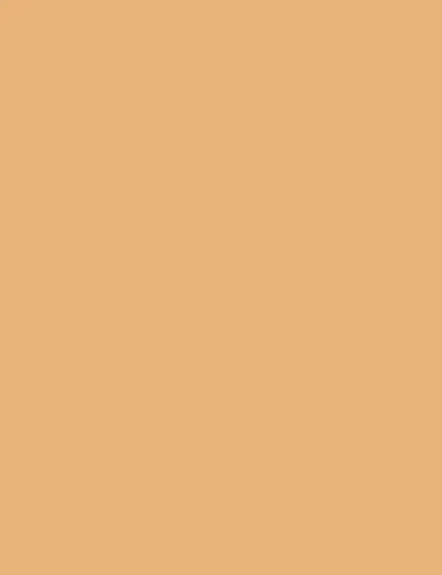 Mono Eyeshadow High Pigment Shimmer Golden Star – image 4