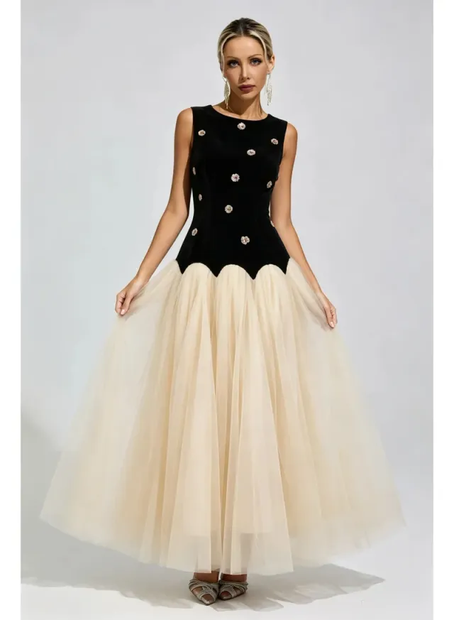 Vienna Mesh Maxi Dress – image 2