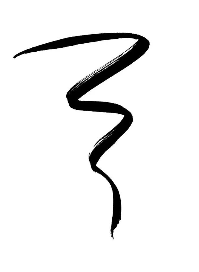 Wet N wild Icon Beautifying Liquid Eyeliner Black – image 2