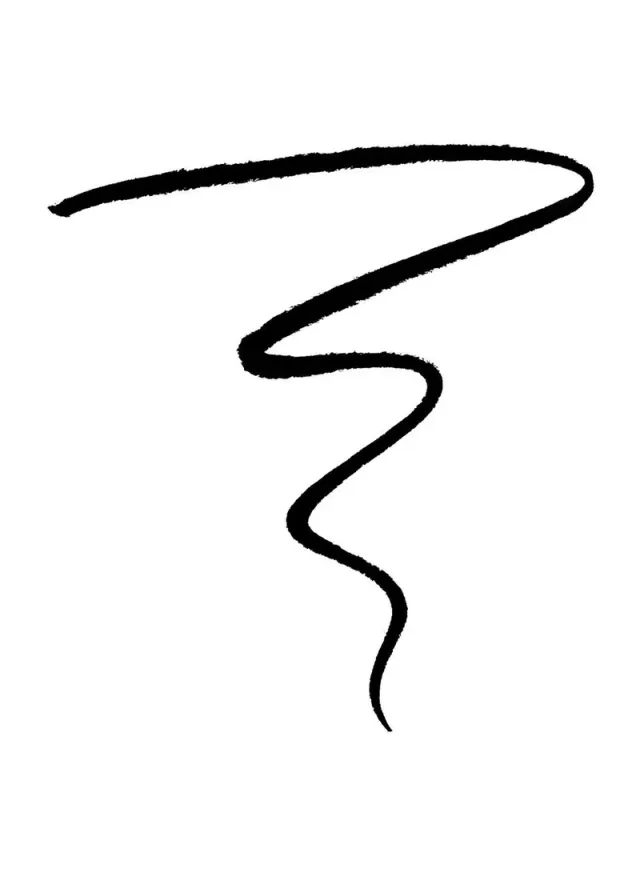 Wet N wild Icon Beautifying Liquid Eyeliner Black – image 3