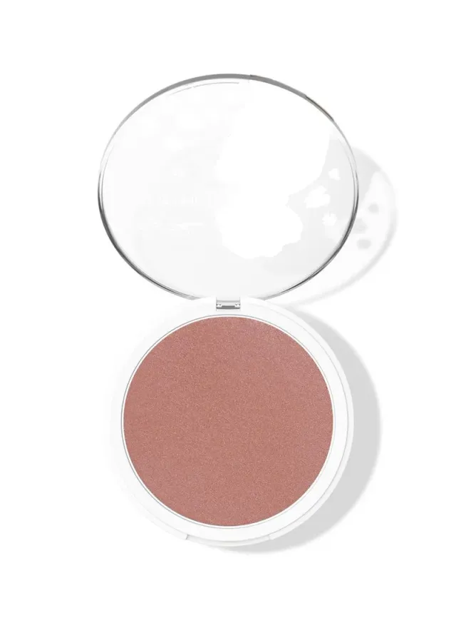 Wet N wild Icon Diamond Rose Blush – image 3