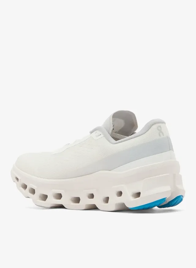 Cloudmonster 1 – image 2