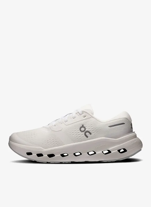 Cloudrunner 3 – image 2