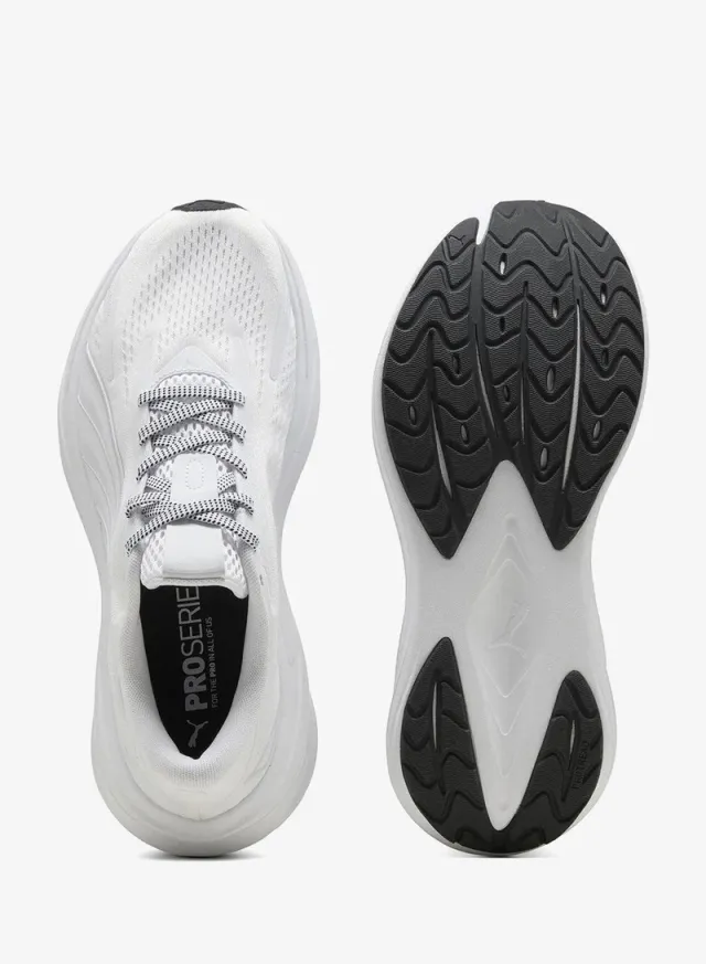 Maxima Pro – image 7