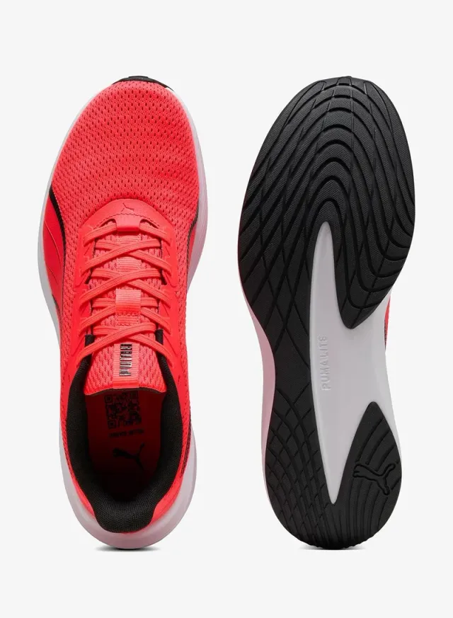 Dasher Lite – image 6