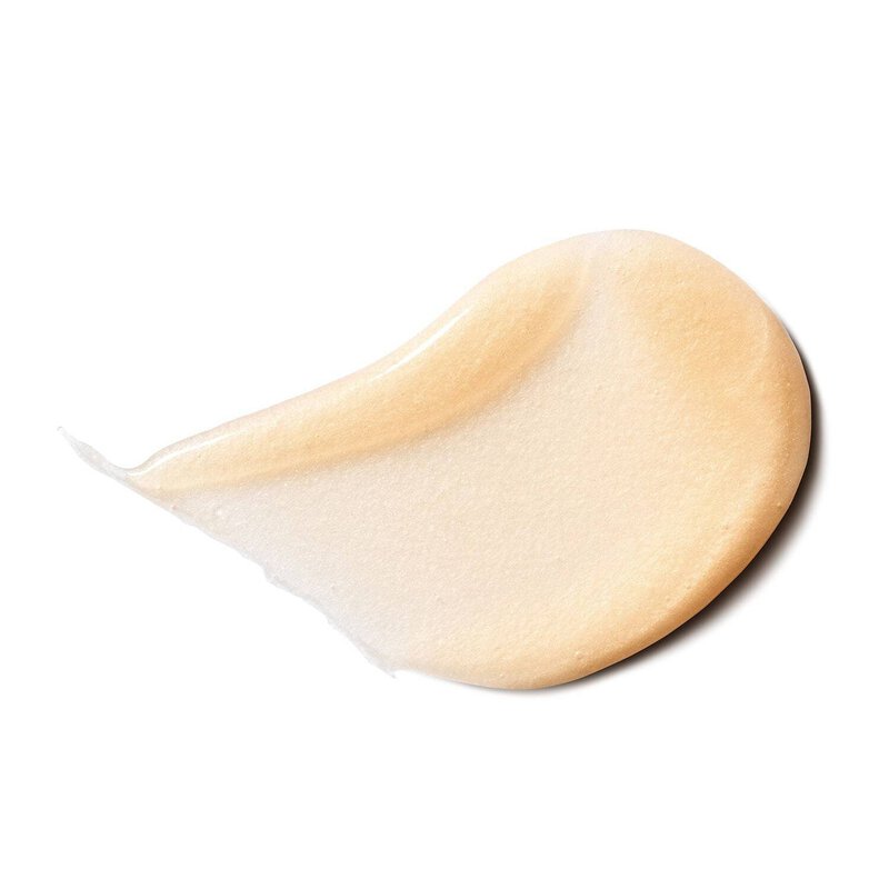 شامبو ريكوفيري