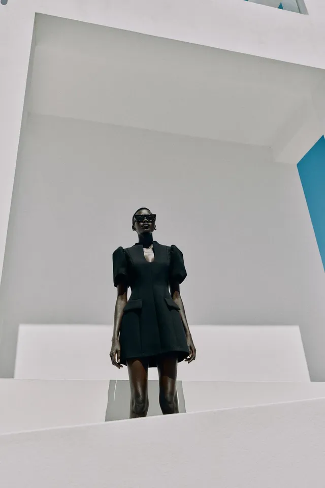 Short Puff Sleeve Dress