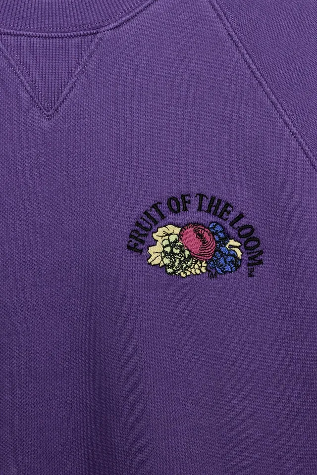 سويت شيرت مغسول Fruit of the Loom™ – صورة 4