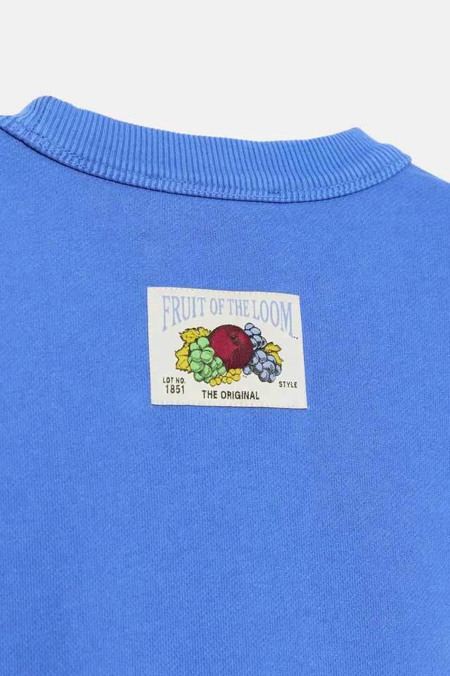سويت شيرت مغسول Fruit of the Loom™ – صورة 4