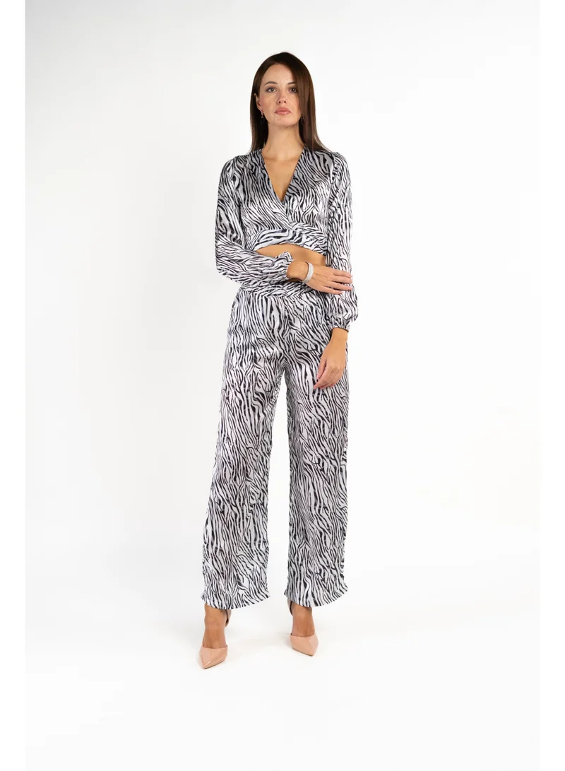 Zebra Print Crop Top & Pants Set