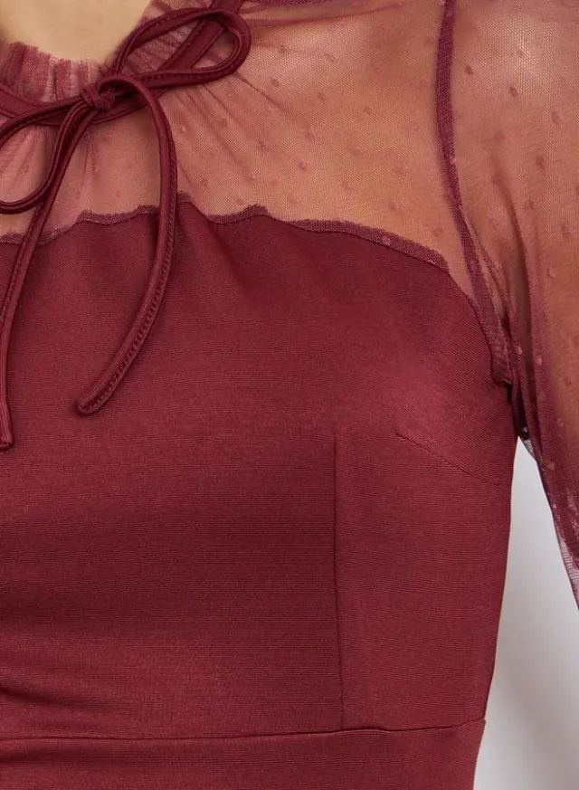 Long Sleeve Mesh Maxi Dress Burgundy – image 4