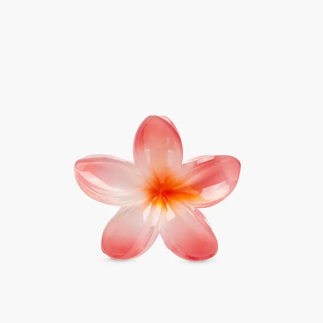 Pack of 5 Floral Hair Clamps – image 5