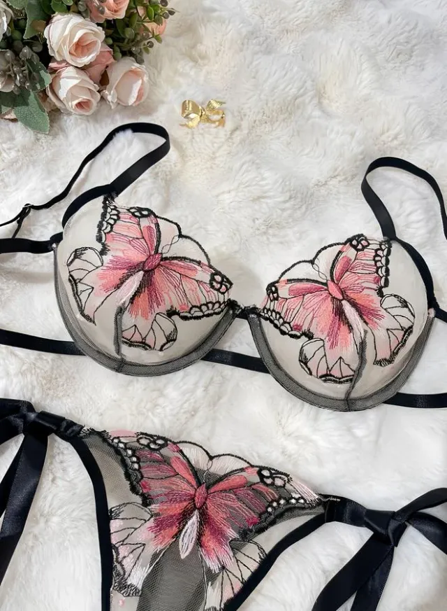 Butterfly Embroidered Mesh Bra & Thong Lingerie Set – image 3