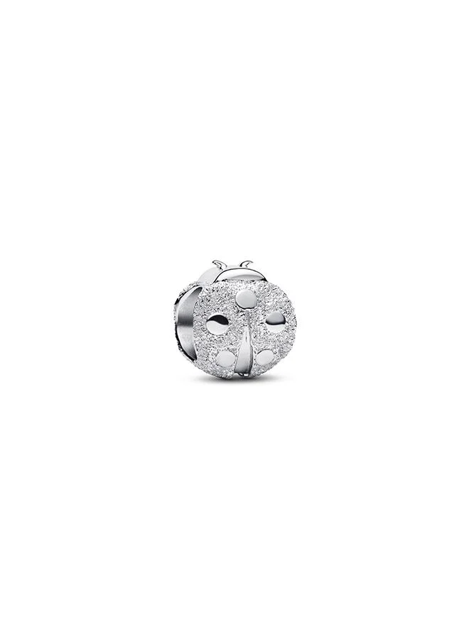 Textured Ladybird Mini Charm