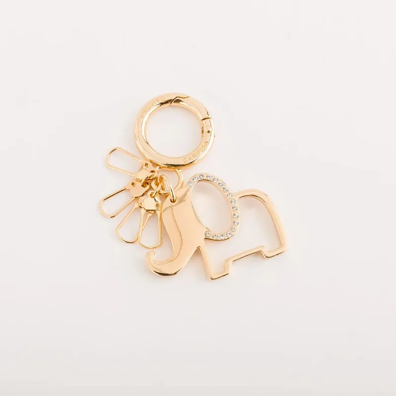 Continua Keyring Multicolour