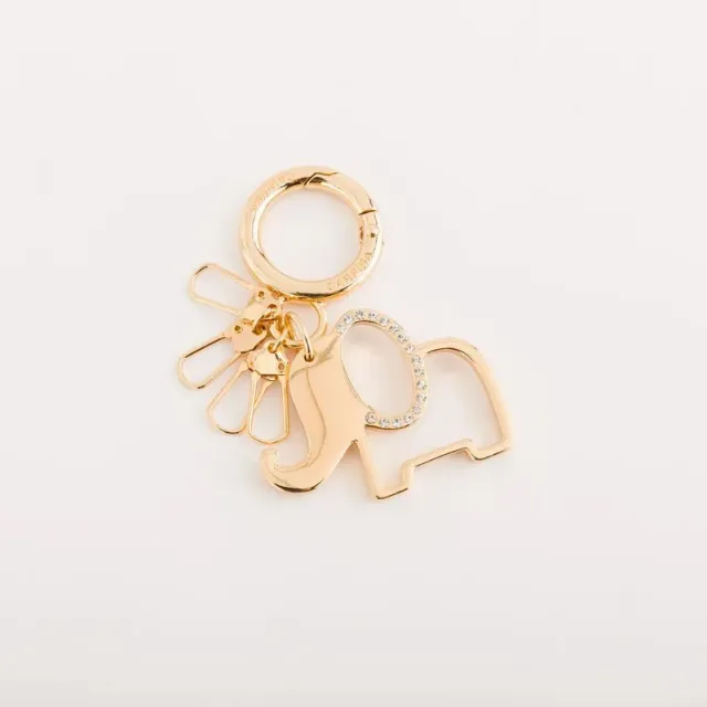 Continua Keyring Multicolour