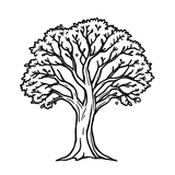اختبارات الحساسية