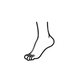 دعم قوس القدم