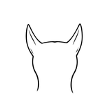 نمط الرقبة الخلفية