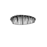 Bristle Material