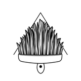 Brush Head Material