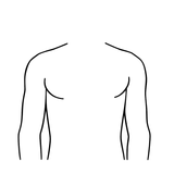 ميزة الصدر