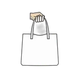 Carry Style