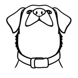 وجود الياقة